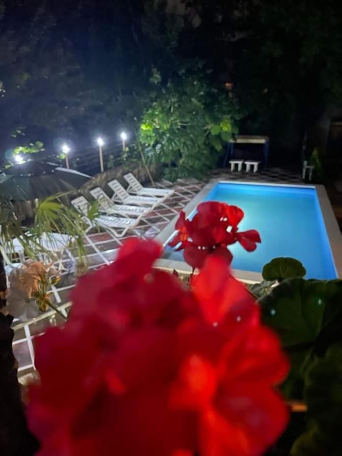 Green Garden Батуми Экстерьер фото